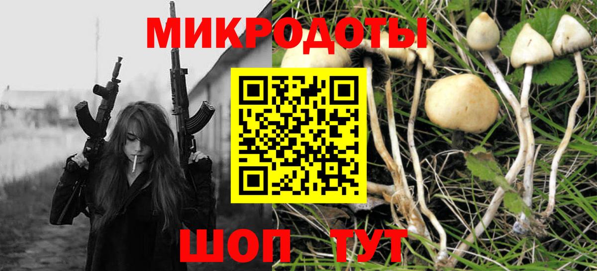 Миасс  где найти   Вход с VPN  Псилоцибиновые грибы мухоморы 